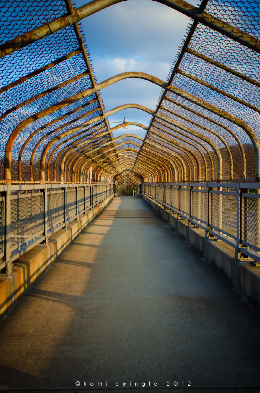 ©kamiswingle_footbridge_shirlington-1